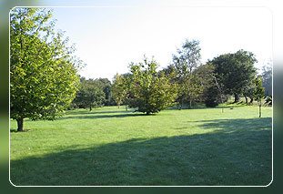 Bretagne Ferienhaus in Plhdel - Bild 08