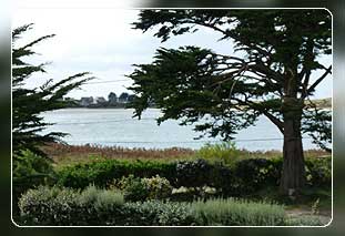 Ferienhuser Bretagne Ferienhaus in Guisseny mit Hund - Ferienhuser in der Bretagne Bild 01
